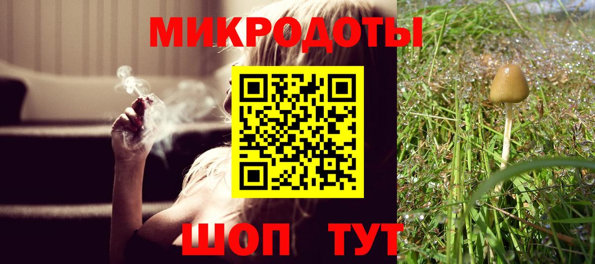 Псилоцибиновые грибы мицелий Костомукша